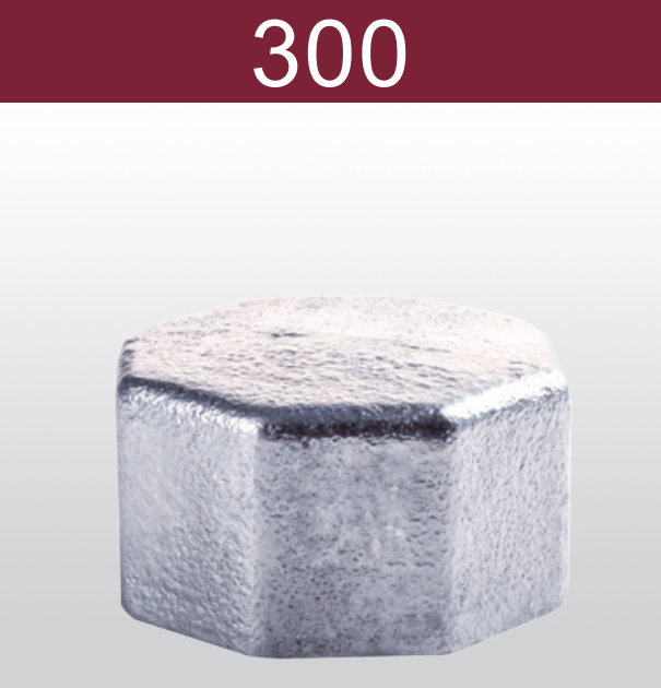 NẮP BỊT REN TRONG MECH